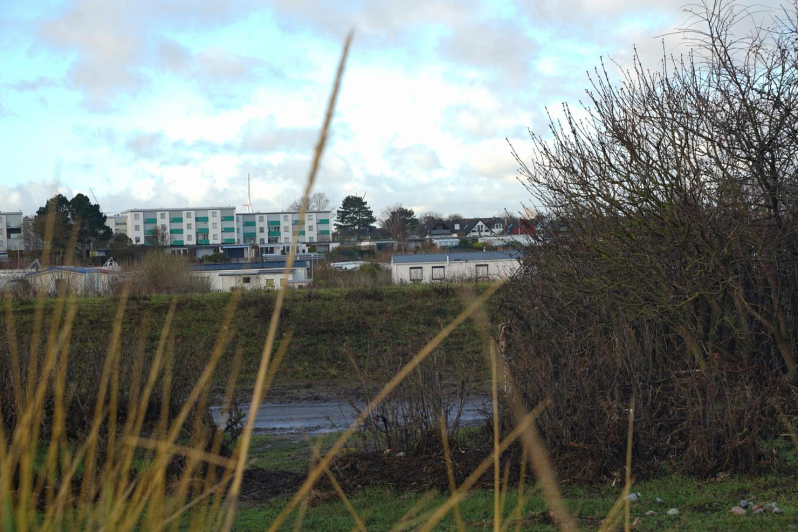 Apartment Mit Meerblick Heringsdorf  Eksteriør billede